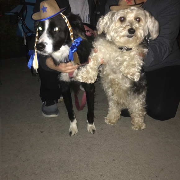 Meet your Posher, Amy - Picture 3 of 3